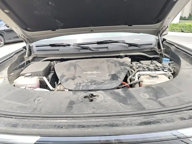 BYD FangChengBao Leopard 8 — Фото автомобиля 19