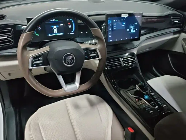 BYD Qin PLUS — Фото автомобиля 9