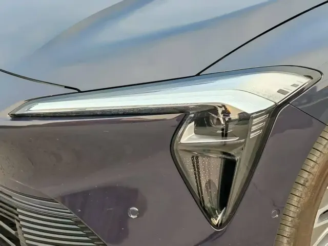 Buick Electra L7 — Фото автомобиля 11