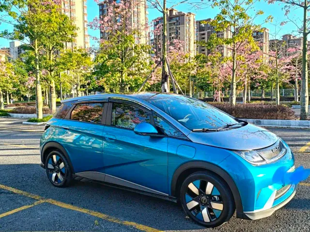 BYD Dolphin — Фото автомобиля 2
