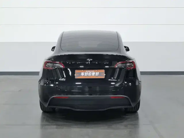 Tesla Model Y — Фото автомобиля 4