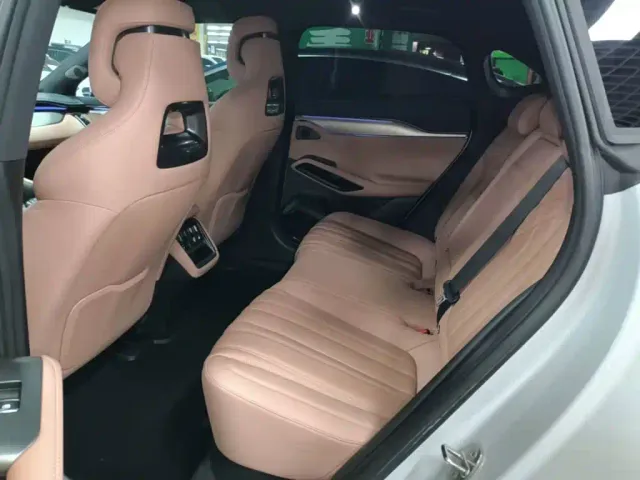 BYD Song L EV — Фото автомобиля 16