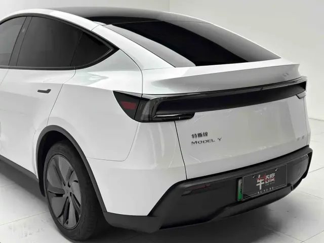 Tesla Model Y — Фото автомобиля 22