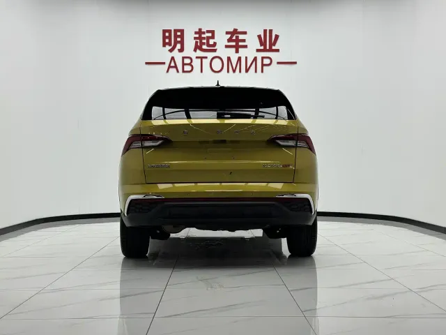 Skoda Kamiq — Фото автомобиля 10