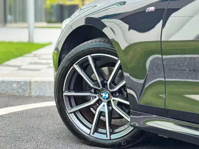 BMW 3 Series — Фото автомобиля 10