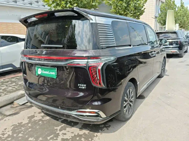 Hongqi HQ9 PHEV — Фото автомобиля 6