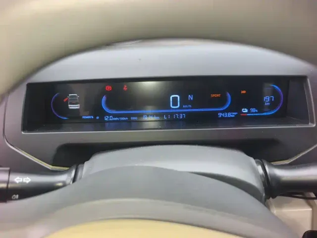 Geely Galaxy Panda 2024 200km Panda Knight — Фото автомобиля 13