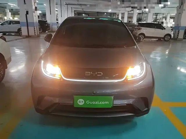 BYD Dolphin — Фото автомобиля 2
