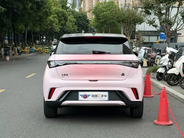 BYD Dolphin — Фото автомобиля 5