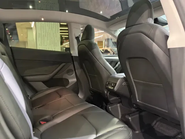 Tesla Model Y — Фото автомобиля 11