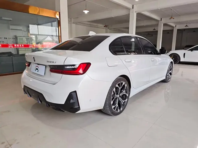 BMW 3 Series — Фото автомобиля 6