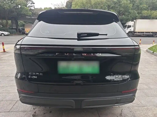 Chery Fulwin T9 — Фото автомобиля 5