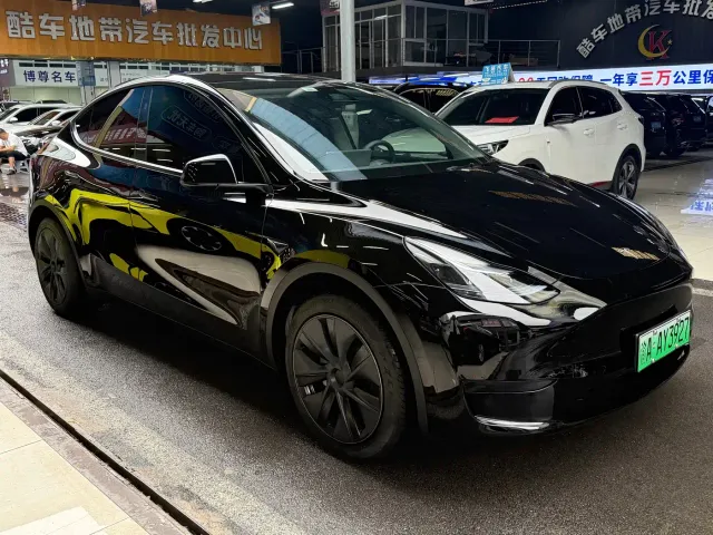 Tesla Model Y — Фото автомобиля 3