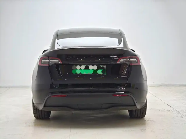 Tesla Model Y — Фото автомобиля 4