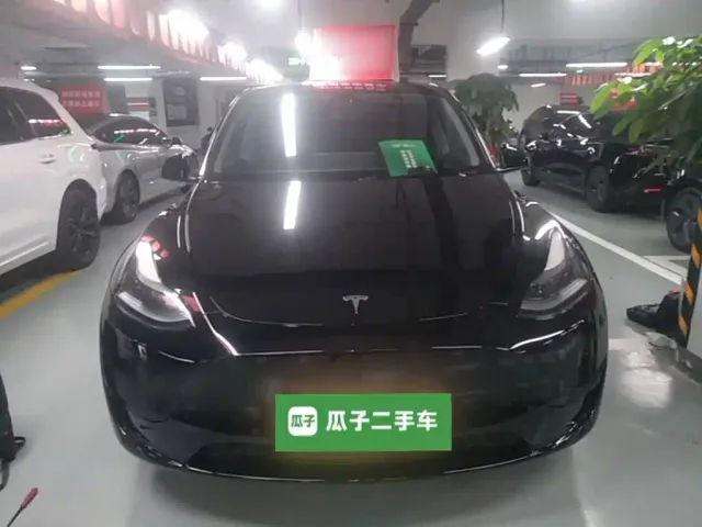 Tesla Model Y — Фото автомобиля 2