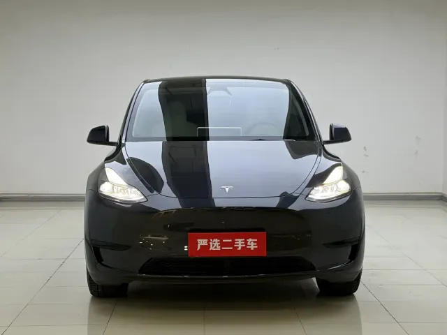 Tesla Model Y — Фото автомобиля 2
