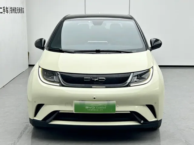 BYD Dolphin — Фото автомобиля 2