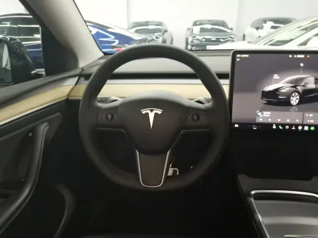 Tesla Model Y — Фото автомобиля 10