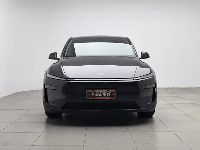Tesla Model Y — Фото автомобиля 3