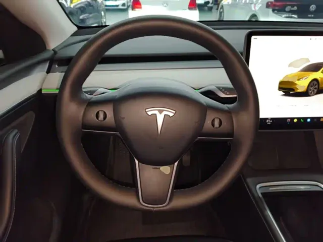Tesla Model Y — Фото автомобиля 10