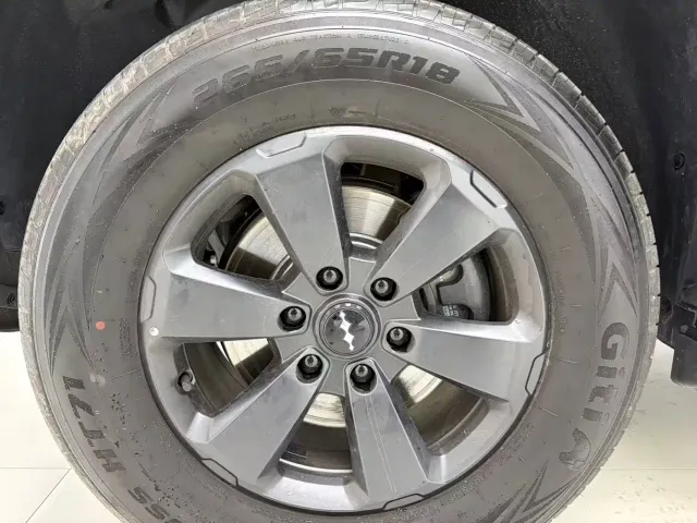 BYD FangChengBao Leopard 5 — Фото автомобиля 13