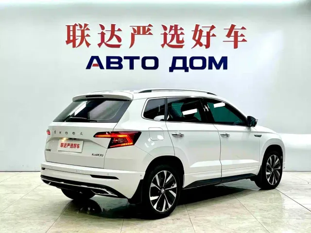 Skoda Karoq — Фото автомобиля 6