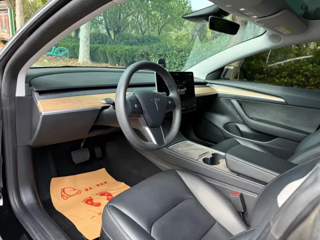Tesla Model 3 — Фото автомобиля 10
