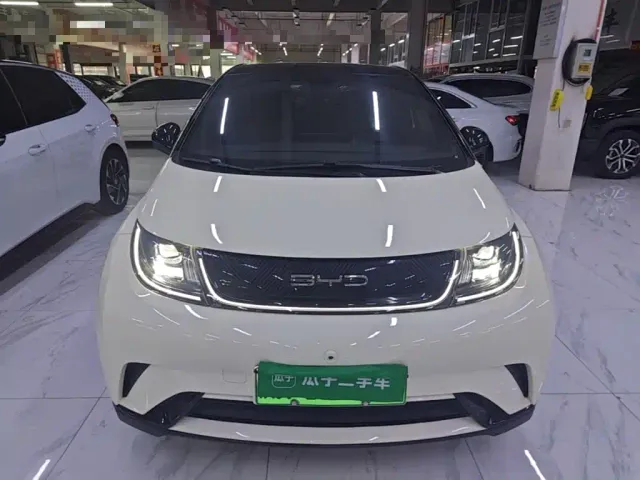 BYD Dolphin — Фото автомобиля 2