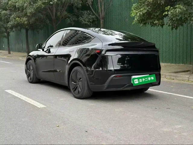 Tesla Model Y — Фото автомобиля 4