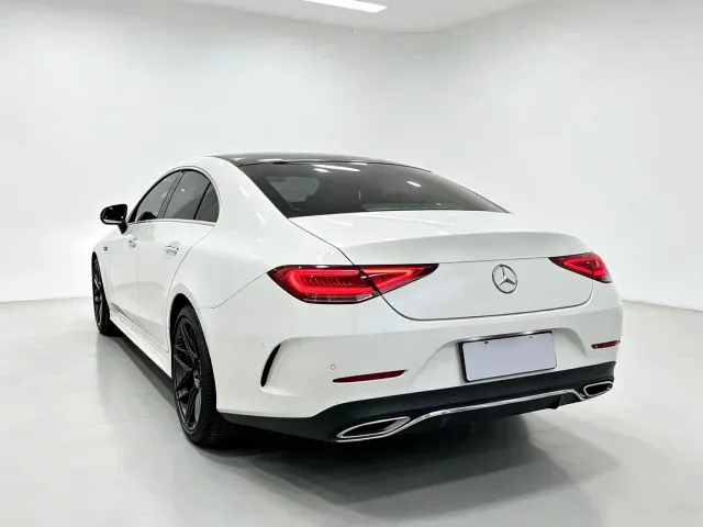 Mercedes-Benz CLS-Class — Фото автомобиля 8