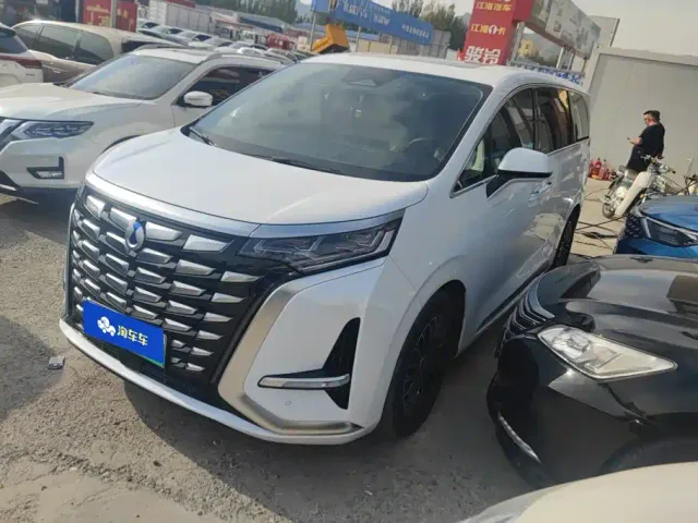 Фотография автомобиля — Denza D9