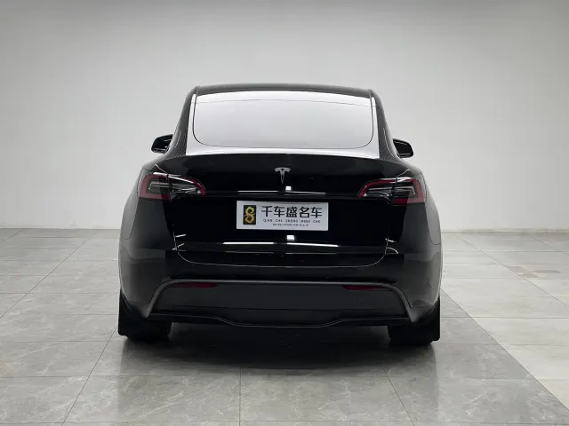 Tesla Model Y — Фото автомобиля 5
