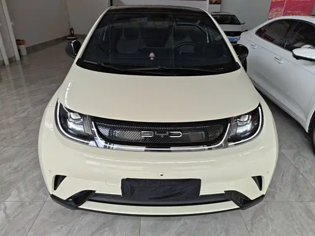 BYD Dolphin — Фото автомобиля 2