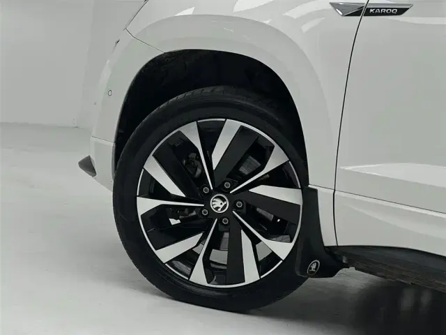 Skoda Karoq — Фото автомобиля 15