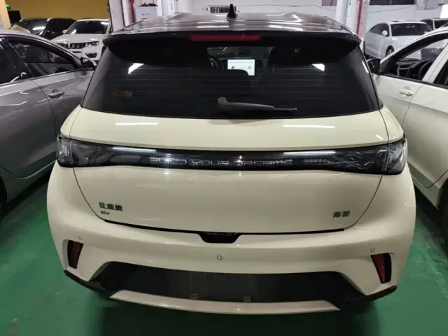 BYD Dolphin — Фото автомобиля 5