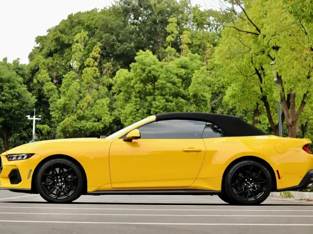 Ford Mustang — Фото автомобиля 6