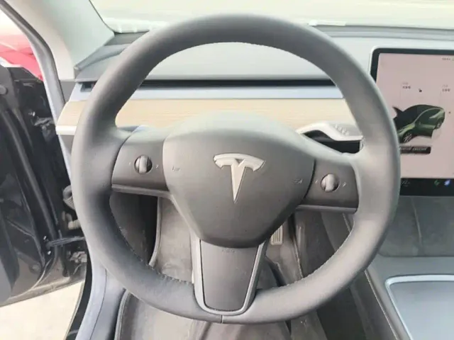Tesla Model Y — Фото автомобиля 10