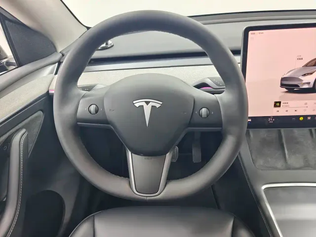 Tesla Model Y — Фото автомобиля 4