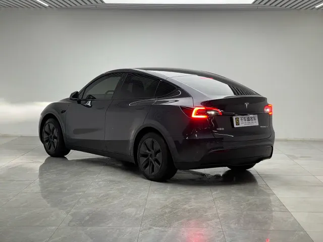 Tesla Model Y — Фото автомобиля 4
