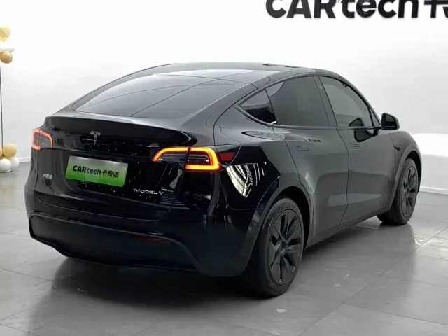 Tesla Model Y — Фото автомобиля 3