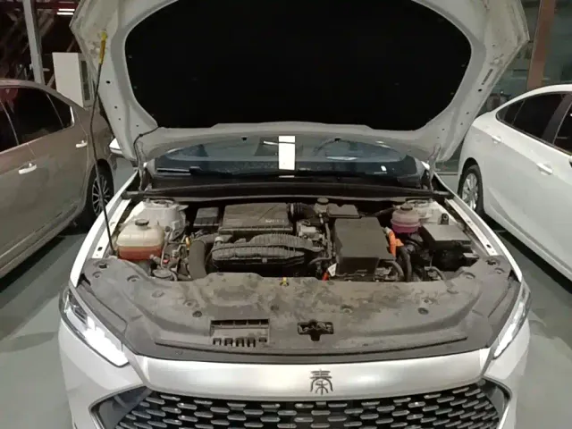 BYD Qin PLUS — Фото автомобиля 19