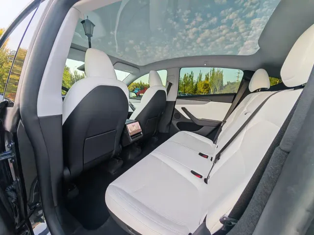 Tesla Model Y 2025 Model Long Range All-Wheel Drive Launch Edition — Фото автомобиля 13