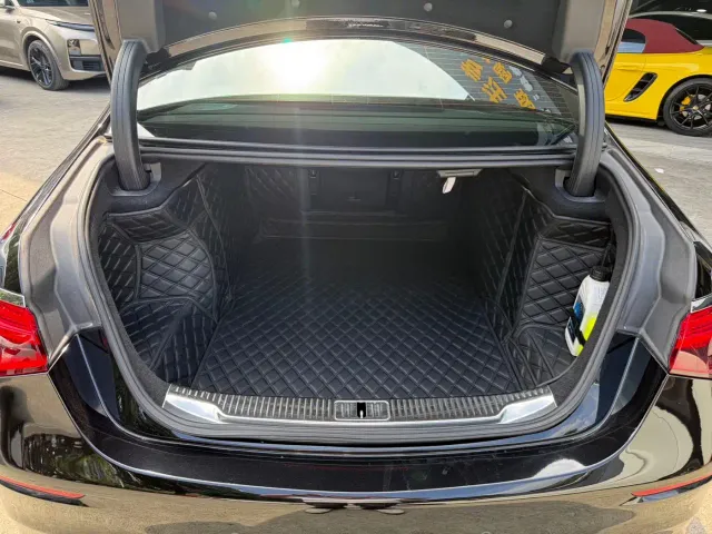 Mercedes-Benz S-Class — Фото автомобиля 15