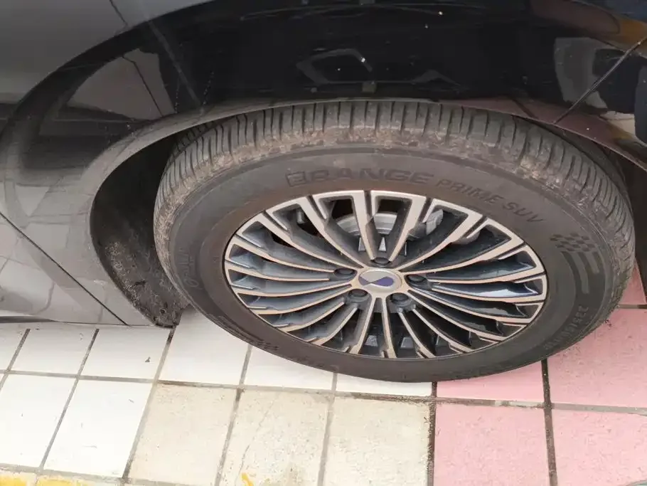 Denza Denza D9 2024 EV 600 AWD Premium — Фото автомобиля 6