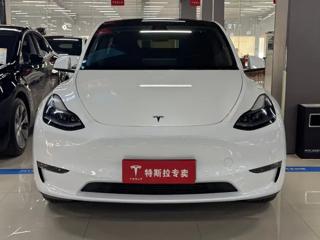 Tesla Model Y — Фото автомобиля 2