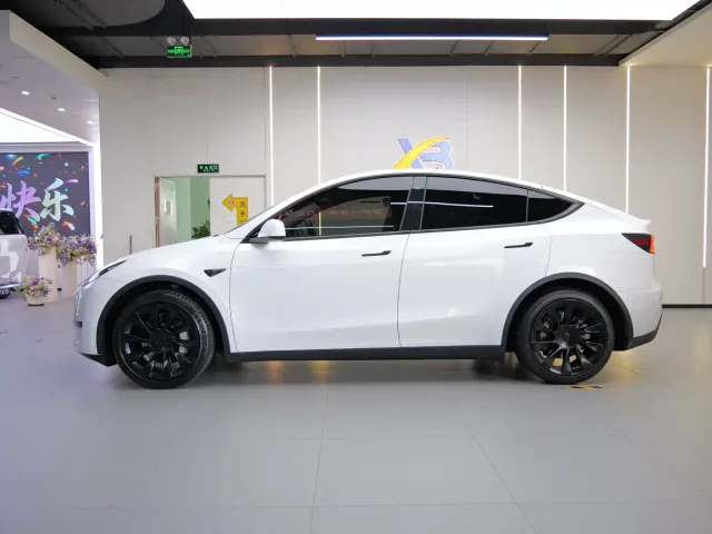 Tesla Model Y — Фото автомобиля 9