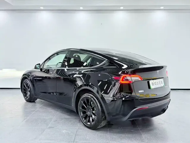 Tesla Model Y — Фото автомобиля 4