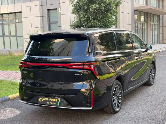 Forthing Xinghai V9 — Фото автомобиля 6