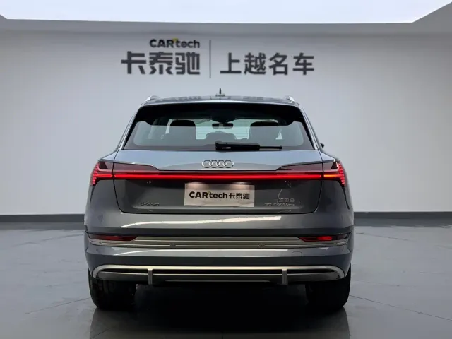 Audi e-tron — Фото автомобиля 6