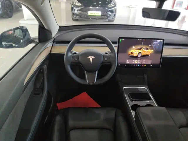Tesla Model Y — Фото автомобиля 10
